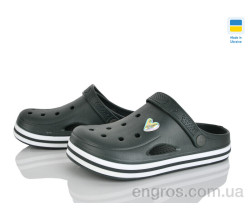 Кроксы Golden Lion